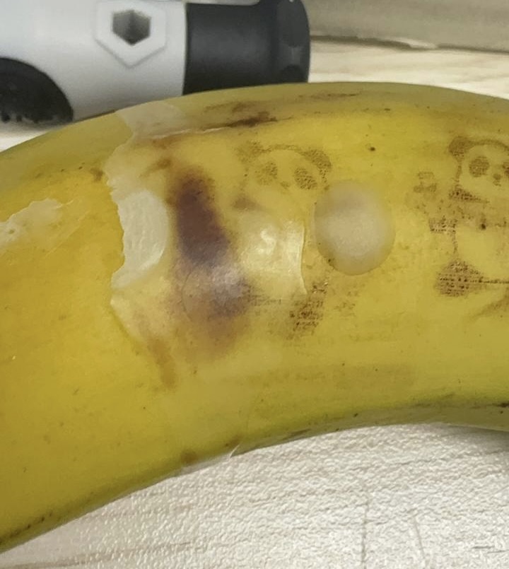 prototype image